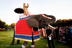 man riding an elephant
